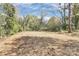 Cleared land ready for building, surrounded by mature trees and blue skies overhead at 908 W Airline Ave, Gastonia, NC 28052