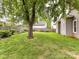 Expansive backyard featuring a lush green lawn, mature trees, and well-maintained landscaping at 335 Greystone Rd, Charlotte, NC 28209