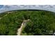 Overhead shot showcases the home surrounded by towering trees and winding driveway at 432 Partridge Pl, York, SC 29745