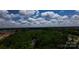 Picturesque aerial view of lush treetops stretching to the horizon under a partly cloudy blue sky at 432 Partridge Pl, York, SC 29745