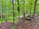Backyard with a beautiful treeline and gorgeous boulders; ideal for nature lovers at 432 Partridge Pl, York, SC 29745