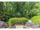 Breathtaking backyard scenery, featuring a well-manicured lawn, mature trees and greenery from the wooden deck at 6824 N Baltusrol Ln, Charlotte, NC 28210
