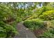 Stone pathway meandering through lush garden, connecting different areas of the backyard at 6824 N Baltusrol Ln, Charlotte, NC 28210