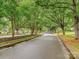 Tree lined street with canopied trees in a quiet neighborhood in Charlotte North Carolina on a wet day at 7004 Quail Hill Rd, Charlotte, NC 28210