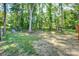 Lush green backyard featuring mature trees, providing a peaceful and private outdoor setting at 1030 Little Cowgirl Ln, Cleveland, NC 27013