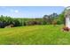 Lush backyard showcasing vibrant greenery, scenic views, and a variety of trees and shrubs at 1046 Linneys Mill Rd, Union Grove, NC 28689