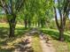 Tree-lined driveway leading through a picturesque landscape, offering a private and scenic entrance to the property at 1046 Linneys Mill Rd, Union Grove, NC 28689