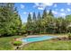 A tranquil backyard showcases a gunite pool with lush landscaping and surrounding trees at 110 Preserve Way, Mooresville, NC 28117