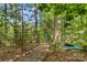 A stone-lined mulch path leads through a wooded area to the lake, perfect for leisurely strolls at 110 Preserve Way, Mooresville, NC 28117