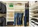 Organized walk-in closet featuring clothing racks, shelves, and carpeted floors at 1210 Langdon Terrace Dr, Indian Trail, NC 28079