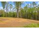 Large backyard with newly seeded grass and backing up to a lush treeline at 750 Whites Farm Rd, Statesville, NC 28625