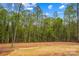 Expansive backyard bordered by dense trees, creating a private and serene outdoor space at 750 Whites Farm Rd, Statesville, NC 28625