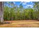 Extensive backyard backed by a serene treeline, offering privacy and natural beauty at 750 Whites Farm Rd, Statesville, NC 28625