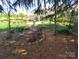 Backyard garden area featuring mulch beds, various plants, and a swing at 6454 Sain Milling Rd, Vale, NC 28168