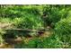 Peaceful creek surrounded by lush greenery, showcasing the natural landscape at 6454 Sain Milling Rd, Vale, NC 28168