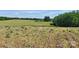 Expansive land with a mix of cleared fields and lush green trees at 6454 Sain Milling Rd, Vale, NC 28168