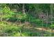A brown rabbit nestled among lush greenery, adding a touch of nature at 6454 Sain Milling Rd, Vale, NC 28168