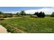 Spacious yard with vibrant green grass, trees, and partial view of a sidewalk at 6454 Sain Milling Rd, Vale, NC 28168