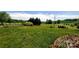 Well-maintained yard featuring lush green grass, mature trees, and landscaping at 6454 Sain Milling Rd, Vale, NC 28168