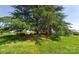 Expansive yard with a mature tree and partially obscured home in the background at 6454 Sain Milling Rd, Vale, NC 28168