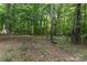 Wooded backyard with mature trees offering plenty of privacy at 7212 Canyon Dr, Charlotte, NC 28262