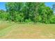 Expansive backyard featuring a green lawn and a lush green treeline, great for recreation and enjoying nature at 115 Haddonsfield Dr, Mooresville, NC 28115