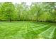 Expansive backyard featuring a well-maintained lawn and mature trees providing shade and privacy at 4600 Spicewood Dr, Charlotte, NC 28227