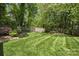 Large backyard with a neatly mowed lawn, mature trees, and a wooden fence at 9707 Enid Ln, Matthews, NC 28105