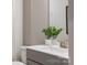 Bathroom features a clean white sink and a green plant decoration at 12017 Grinstead Ln # 301, Charlotte, NC 28278
