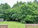 Green backyard featuring mature trees and a wood fence at 12713 Frank Wiley Ln, Charlotte, NC 28278