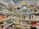Organized pantry with ample shelving for efficient storage of groceries and household essentials at 15824 Feeny Ct, Charlotte, NC 28278