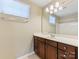 Bathroom features a dark wood vanity with a white countertop and a large mirror at 7325 Forrest Rader Dr, Mint Hill, NC 28227