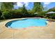 In-ground pool with a stone paver surround, lush foliage, and lounge umbrellas at 11917 Chevis Ct, Charlotte, NC 28277