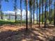 View of a home from a yard with pine trees and green grass at 2028 Cedar Falls Dr # 10, Waxhaw, NC 28173