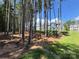 Exterior view of a home from a yard with a pine tree forest at 2028 Cedar Falls Dr # 10, Waxhaw, NC 28173