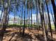 Exterior view of a home from a yard with a pine tree forest at 2028 Cedar Falls Dr # 10, Waxhaw, NC 28173