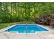 Backyard swimming pool surrounded by trees and landscaping at 817 Quince Ct, Indian Trail, NC 28079