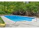 Backyard swimming pool surrounded by trees and landscaping at 817 Quince Ct, Indian Trail, NC 28079