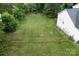 Expansive backyard with mature trees and a wooden fence, perfect for outdoor activities at 10508 Madison Park Dr, Charlotte, NC 28269