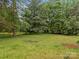 Expansive lush green backyard with mature trees and foliage at 1401 Thompson Ave, Charlotte, NC 28216