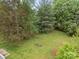 Large grassy backyard with lush trees and foliage at 1401 Thompson Ave, Charlotte, NC 28216