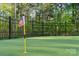 Private backyard putting green with pristine turf and lush surroundings, perfect for golf enthusiasts at 425 W North Corner Rd, Lancaster, SC 29720