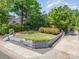 A charming home with a well-maintained front yard, featuring a retaining wall, lush lawn, and landscaping at 2125 Chatham Ave, Charlotte, NC 28205