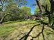 Spacious yard with trees surrounding back of home at 3063 Liledoun Rd, Taylorsville, NC 28681