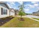 Well-maintained lawn with newly planted tree, complimented by a sidewalk and view of the street at 3138 Maple Ridge Dr, Gastonia, NC 28052