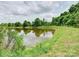Peaceful view of a serene pond framed by lush greenery and a clear sky at 4008 Houndscroft Rd, Indian Trail, NC 28079