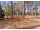 Tranquil wooded area behind the property, offering a natural and serene backdrop at 107 Waterhouse Ct, Mooresville, NC 28117