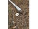 Sewer line with clean out at 174 Buffalo Creek Dr, Statesville, NC 28677