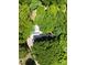 An aerial view of a secluded property surrounded by lush greenery and mature trees offering maximum privacy at 200 Kimrod Ln, Charlotte, NC 28270