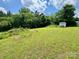Expansive backyard with lush green grass and a shed, providing ample space for outdoor activities at 645 E Border E Rd, Rock Hill, SC 29730